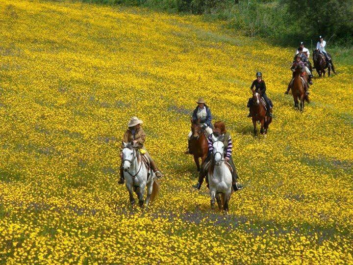 Вилла Monte Dos Aroeirais Фронтейра Экстерьер фото